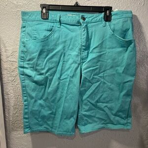 Woman’s Teal Shorts